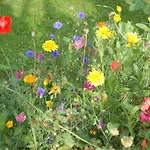 Nr 1 Harztor By Interhome شقة *