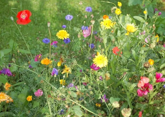 Nr 1 Harztor By Interhome Appartement *